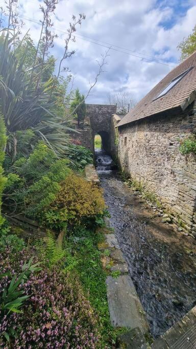 Ancien Moulin Pres D'un Ruisseau * Sallen